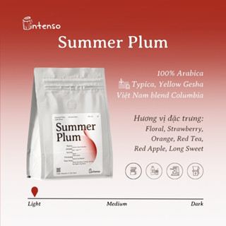Cà Phê Rang Sáng - Summer Plum - Intenso Coffee Roasters