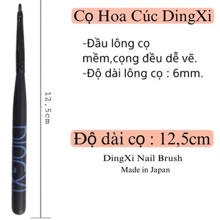 Cây cọ hoa cúc , cọ vẽ móng Dingxi