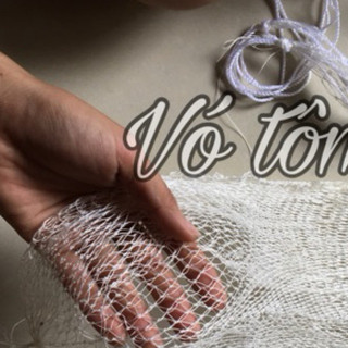 Vó thả tôm cá