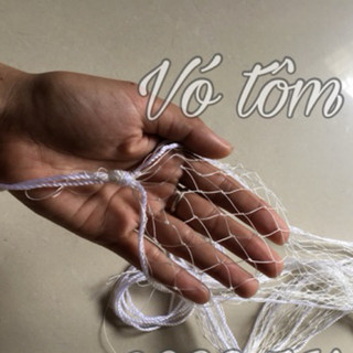 Vó thả tôm cá