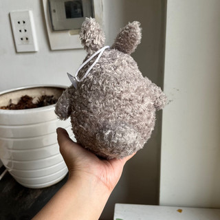Gấu bông totoro