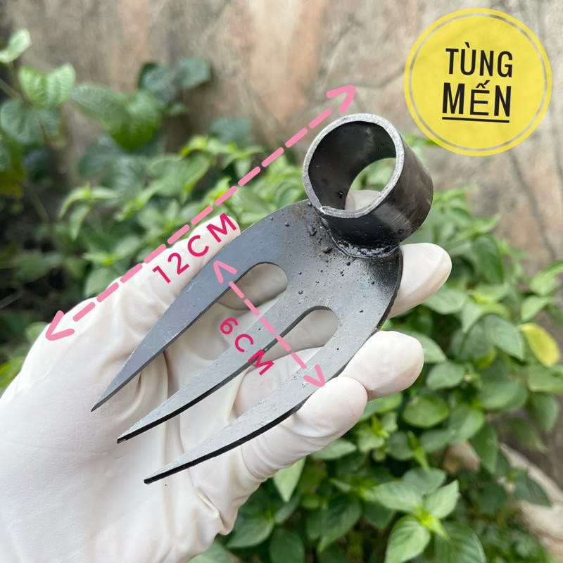 Cào dặm tỉa lúa 3 rằng cào đất cỏ