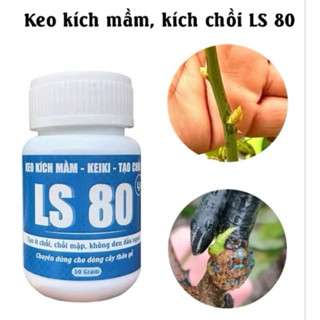 Keo kích chồi kích ki LS80 cho lan mai cây kiểng bonsai và cây ăn quả