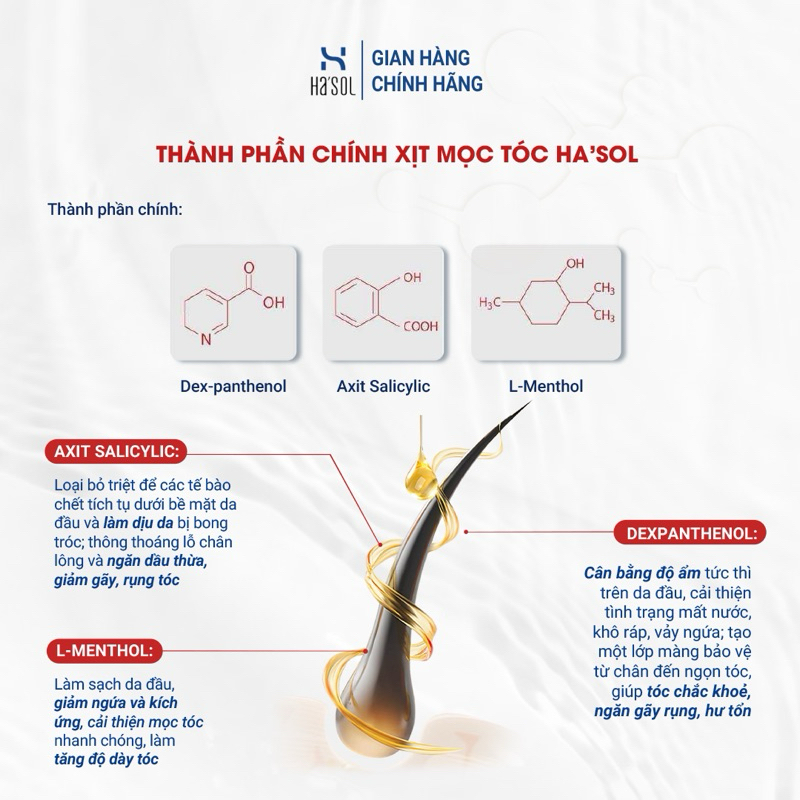 Combo Dầu Gội HASOL Hỗ Trợ Giảm Rụng và Mọc Tóc Ha'sol Anagen Scalp Shampoo 500g + Xịt Ha'sol Anagen Active Tonic100ml | BigBuy360 - bigbuy360.vn