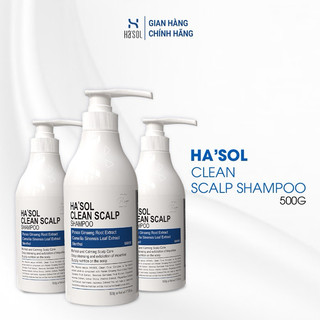  Combo 3 Chai Dầu Gội Sạch Gàu Nấm Ngứa Dành Cho Da Đầu Nhờn Dễ Bết Giảm Ngứa Giảm Tiết Bã Nhờn Hasol Clean Scalp 500g 