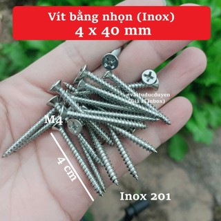 Vít đầu bằng inox (100g)