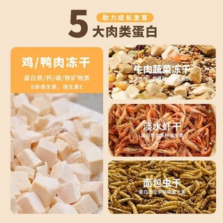 1KG Thức Ăn Hamster Orchid Cao Cấp Hải Sản Bản Hạt Lớn Bổ Sung Đạm Protein Thay Đổi Khẩu Vị Mỗi Ngày