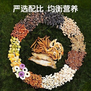1KG Thức Ăn Hamster Orchid Cao Cấp Hải Sản Bản Hạt Lớn Bổ Sung Đạm Protein Thay Đổi Khẩu Vị Mỗi Ngày