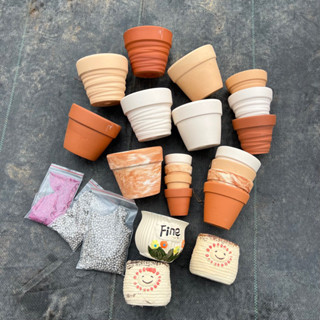  Chậu đất nung trồng sen đá nhiều loại nhiều size 