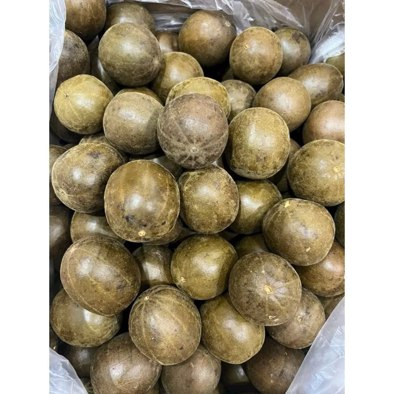 Combo 10 Trái La Hán (Nguyên liệu nấu sâm bí Đao) loại vừa