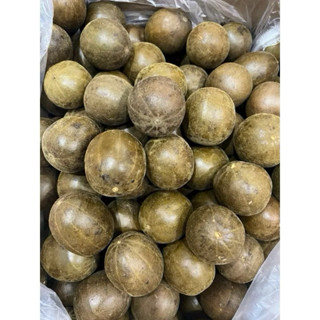 Combo 10 Trái La Hán (Nguyên liệu nấu sâm bí Đao) loại vừa