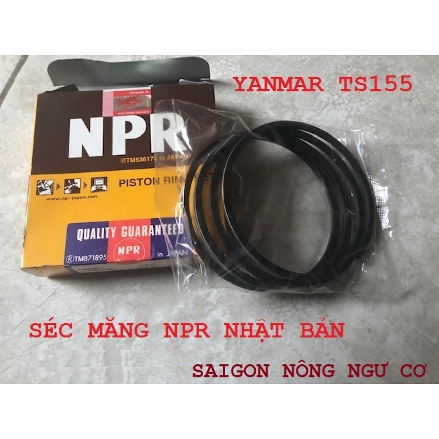 Bạc xéc măng NPR Nhật cho Yanmar  TS50 TS60 TS70 TS155 TS180 NS180 RK125 NM75 TF160 RK70