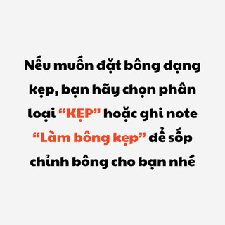 [CÓ SẴN - CÓ DẠNG KẸP] Bông tai MÈO ĐEO BÔNG Thỏ ALICE Vàng
