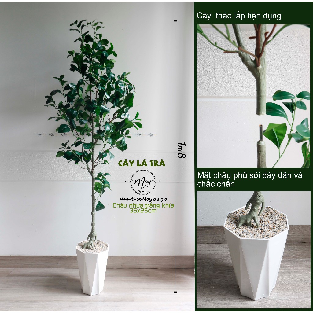 Cây giả,Cây Lá Trà xanh cao 1m35, 1m8