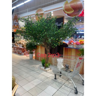 Cây Lá Xanh, cây xanh giả, cây giả cao cấp, cây giả decor, cây gải sự kiện-thân gỗ tự nhiên