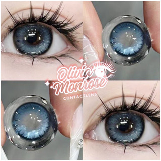 Lakari Blue Lens ( Lens Giãn nhẹ ) - Có cận và O cận