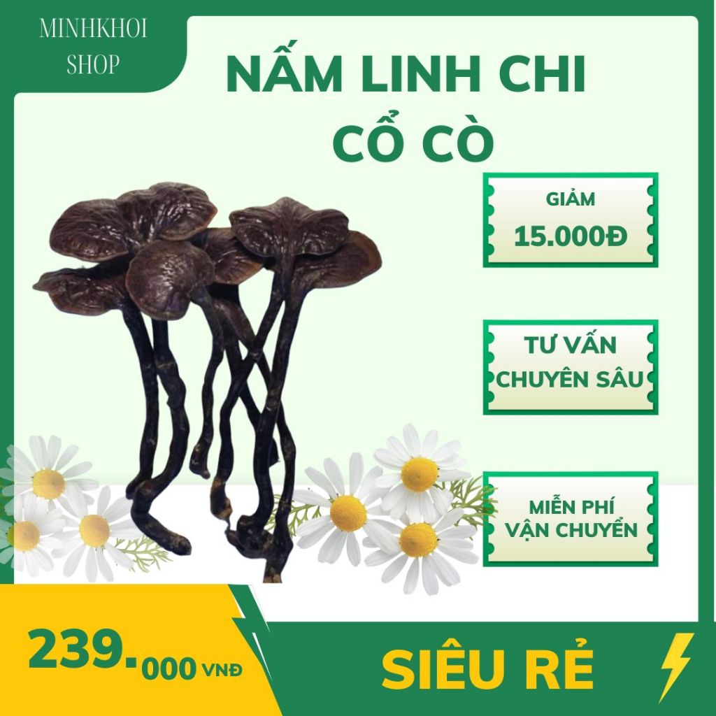 Nấm Lim Xanh, Nấm Linh Chi Cổ Cò Chuẩn rừng Tây Bắc, Nấm linh chi đỏ, linh chi sừng hươu