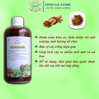 Thảo mộc hữu cơ sinh học SOF bảo vệ cây trồng, hoa hồng, hoa mai vàng, rau sạch...