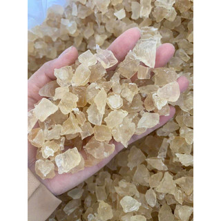 100Gr Mủ Trôm Thiên Nhiên Hạt Lựu - Mủ Trôm Phan Rang
