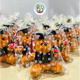 [RẺ VÔ ĐỊCH] Gấu Bông Tốt Nghiệp, Gấu Bông Cử Nhân Giá Rẻ Làm Quà Tặng Tốt Nghiệp