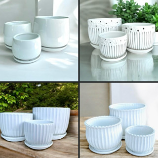 Chậu sứ trơn, trơn sọc kèm đĩa cho sen đá, cây kiểng