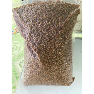 Gạo lứt đỏ 6 tháng thực dưỡng gói 1KG