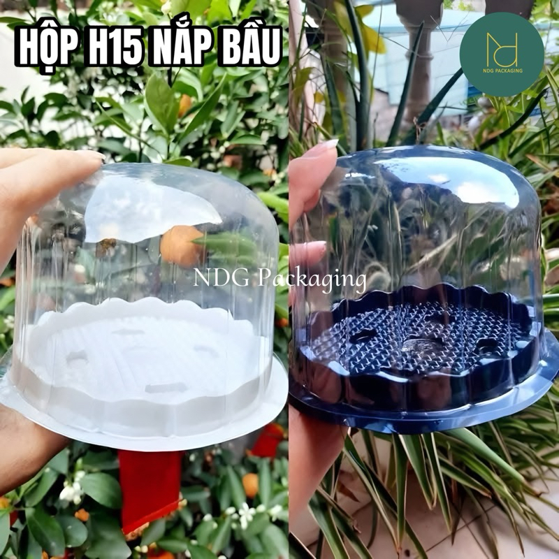 100 Hộp Nhựa Tròn Nắp Trong H15 đựng bánh bông lan, bánh kem, rau câu - Hộp Nhựa H15 nắp mô 10cm