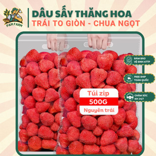 Dâu Tây Sấy Thăng Hoa - Dâu Tây Sấy Lạnh - Dâu Sấy Giòn - Dâu Sấy Lạnh - Ăn Vặt PAM FARM