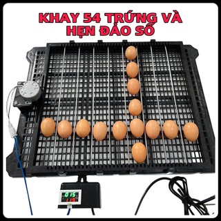 Mạch Timer Đảo Tự Động Dùng Cho Máy Ấp Trứng
