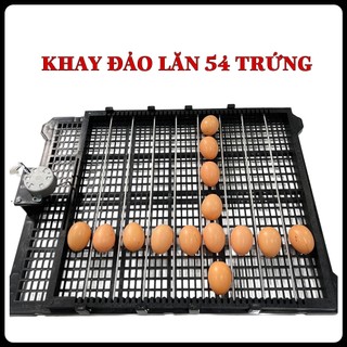 Mạch Timer Đảo Tự Động Dùng Cho Máy Ấp Trứng
