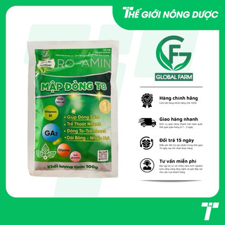 MẬP ĐÒNG T8 - Giải pháp giúp đồng sớm, dài bông, nhiều hạt của Global Farm