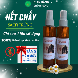  Ủ Chấy Chí  Tặng Kèm Mũ ủ và Lược  Dầu Gội ủ Chấy Chí sau 1 lần ủ chai 150ml 