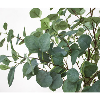 Cây bạch đàn 165cm - cây giả decor