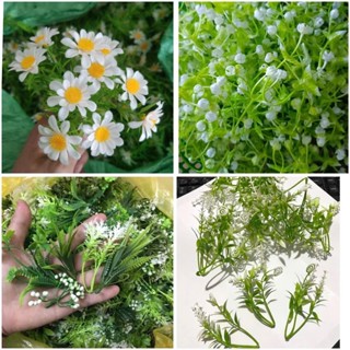 Cỏ điểm, 50g, lá táo, lá thông, cúc họa mi, linh lan, bi nụ, hoa hồng, dùng trang trí giỏ quả, khay quả, bó hoa