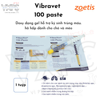 Vibravet 100 paster - Hỗ trợ trị ký sinh trùng máu, hô hấp ở chó và mèo