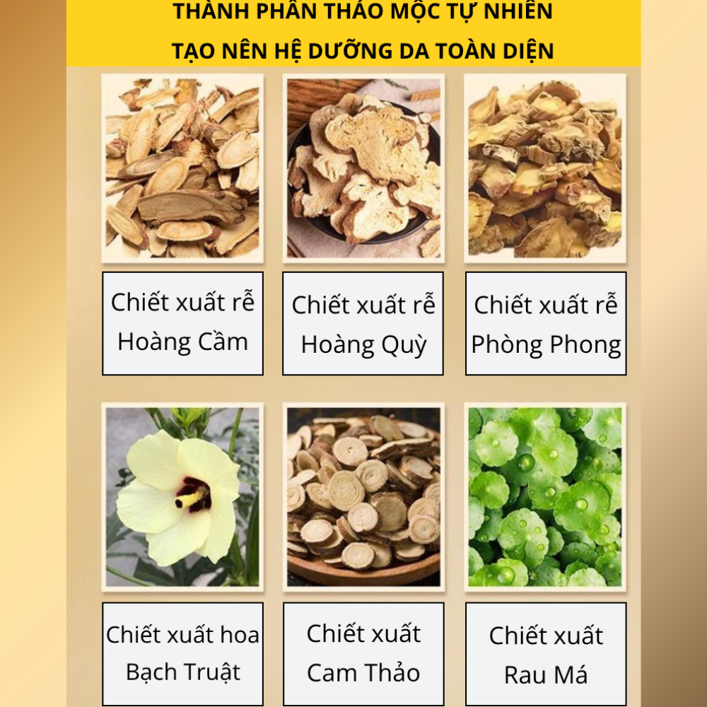 Kem xóa nhăn Hoàng Kỳ Nhân Sâm - Kem dưỡng Hoàng Kỳ dưỡng ẩm, mờ nhăn, căng da, trẻ hóa da - Hộp 50g