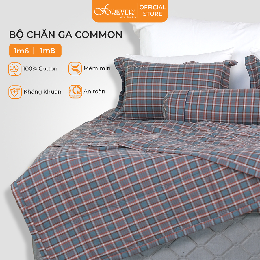 Bộ ga chun chăn hè mỏng 4 món FOREVER Common C122 100% Cotton cao cấp thoáng mát