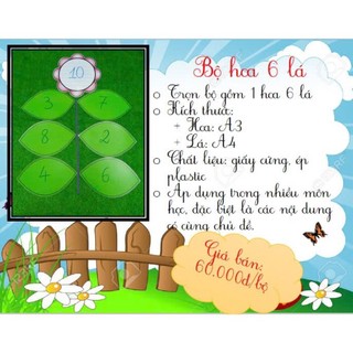 Bộ hoa 6 lá (màu hoa ngẫu nhiên)