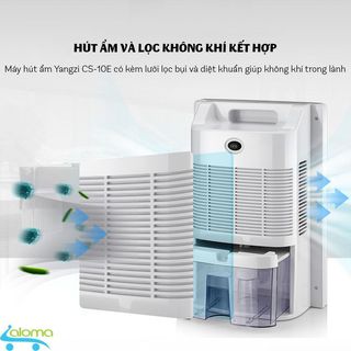 Máy hút ẩm gia đình, Máy hút ẩm mini