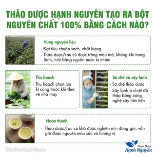 Bột bạc hà sấy lạnh 100g, nguyên chất, thơm, mịn - Thảo Dược Hạnh Nguyên