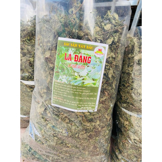 LÁ ĐẮNG lá dạ dày, lá cơm kìa
