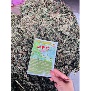 LÁ ĐẮNG lá dạ dày, lá cơm kìa