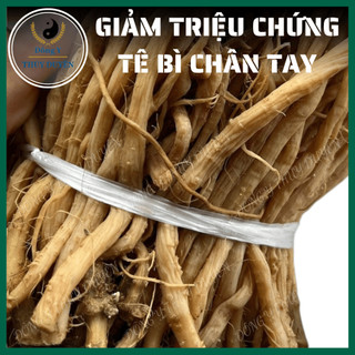 Ngưu Tất Nam 500g | Loại 1 - Cây Cỏ Xước, Hoạt Huyết, Bổ Gân Xương, Giảm Đau Lưng, Đau Khớp