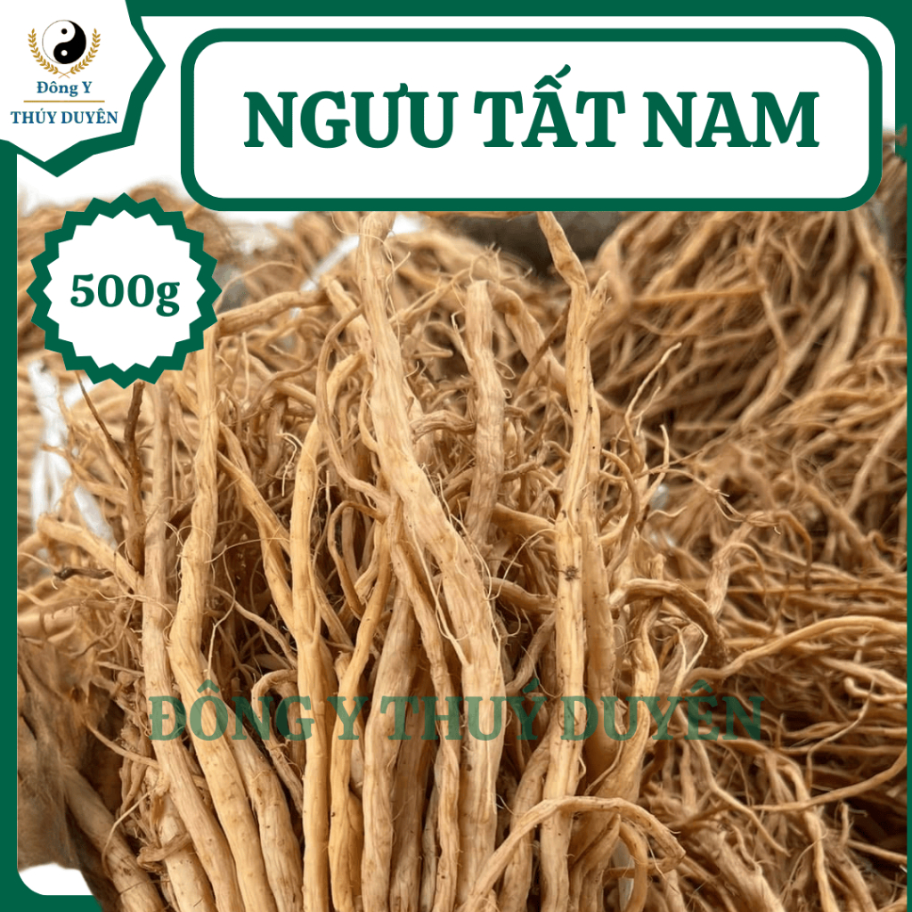 Ngưu Tất Nam 500g | Loại 1 - Cây Cỏ Xước, Hoạt Huyết, Bổ Gân Xương, Giảm Đau Lưng, Đau Khớp