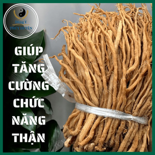 Ngưu Tất Nam 500g | Loại 1 - Cây Cỏ Xước, Hoạt Huyết, Bổ Gân Xương, Giảm Đau Lưng, Đau Khớp