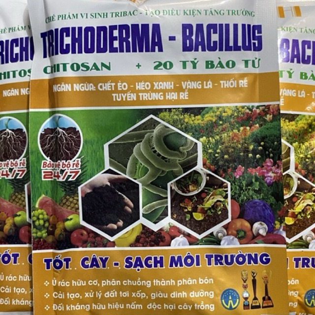 Chế phẩm men vi sinh nấm đối kháng trichoderma bacillus