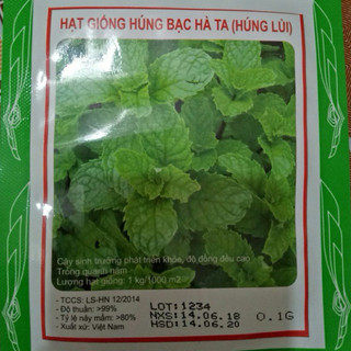 Hạt Giống Húng Bạc Hà Ta( Húng Lủi)