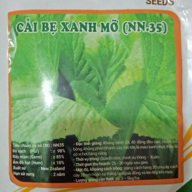 Hạt giống cải bẹ xanh mỡ