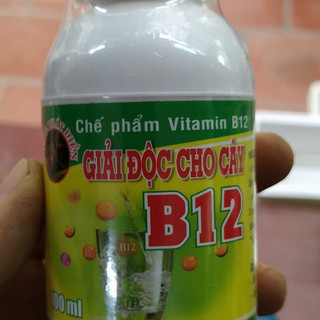 Vitamin B12 - Giải độc cho cây
