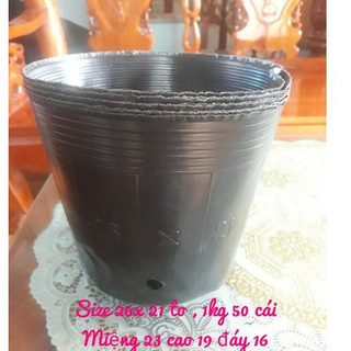 Combo 10 bầu nilon đen 26x21 trồng cây